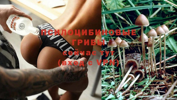 трава Абдулино