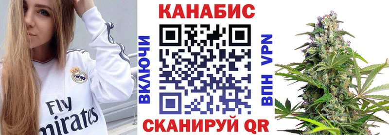 Шишки марихуана сатива  KRAKEN tor  Инсар 